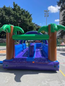 Escorrega radical slide (4)