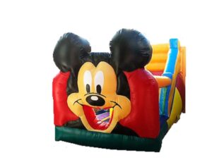 Toboga pequeno mickey